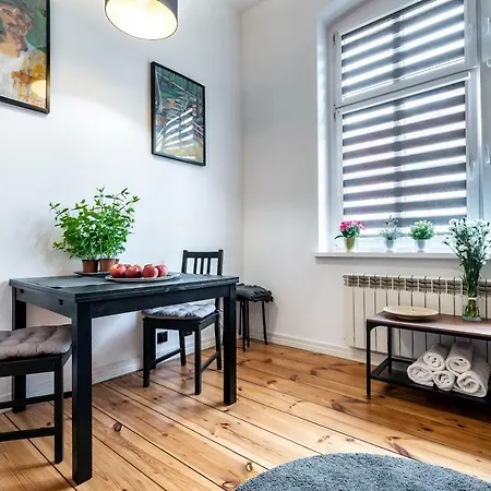 Klimatyczny Loft W Centrum Poznania Apartment *